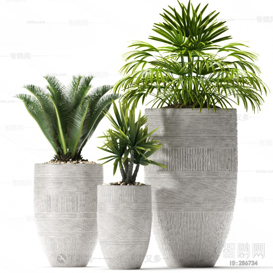 Modern Potted Green Plant