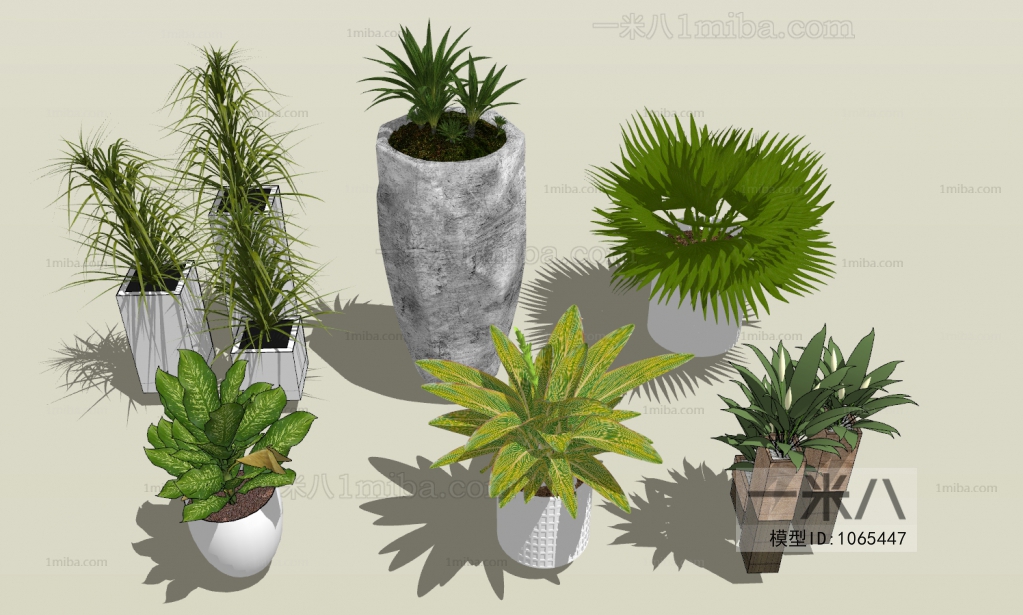 Modern Potted Green Plant