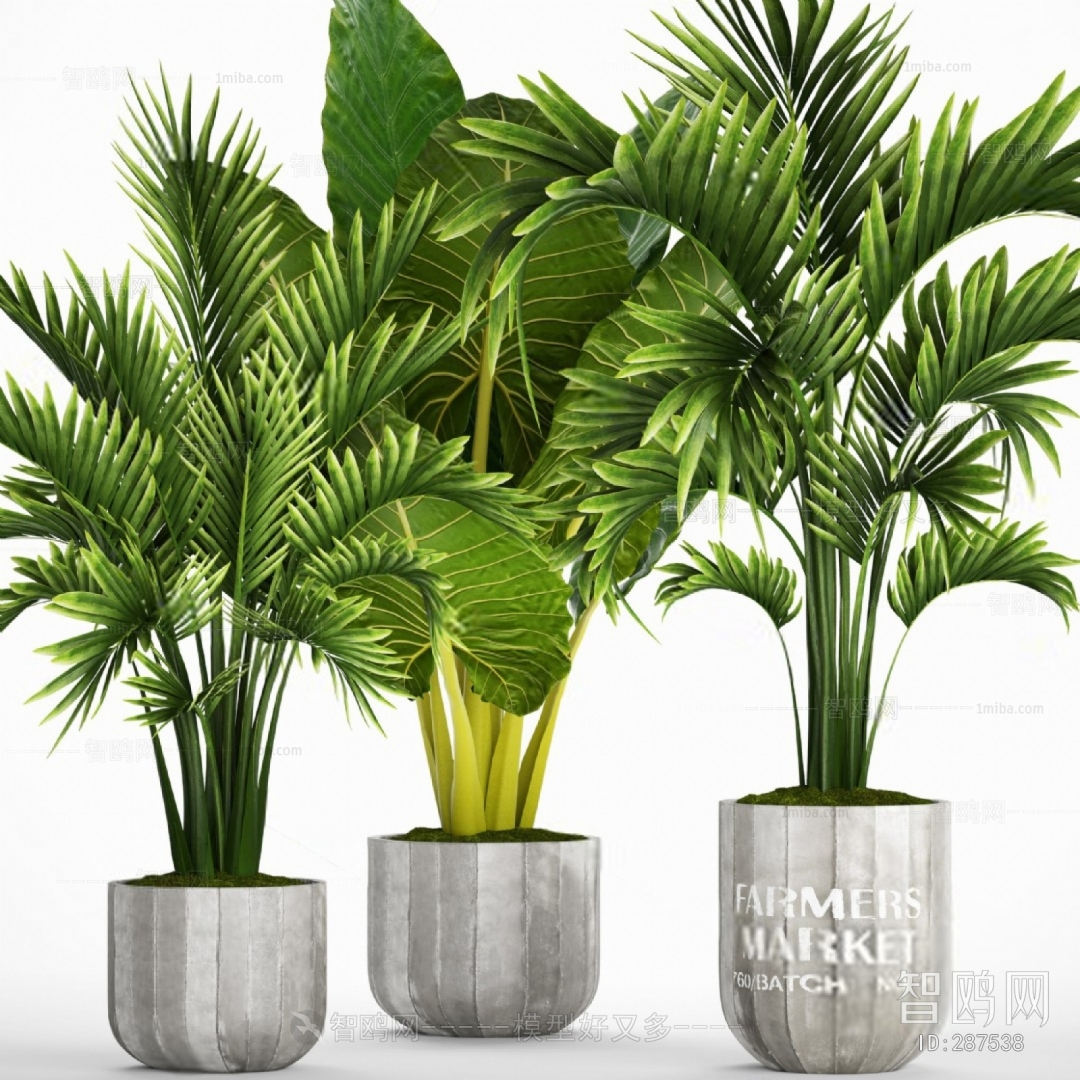 Modern Potted Green Plant