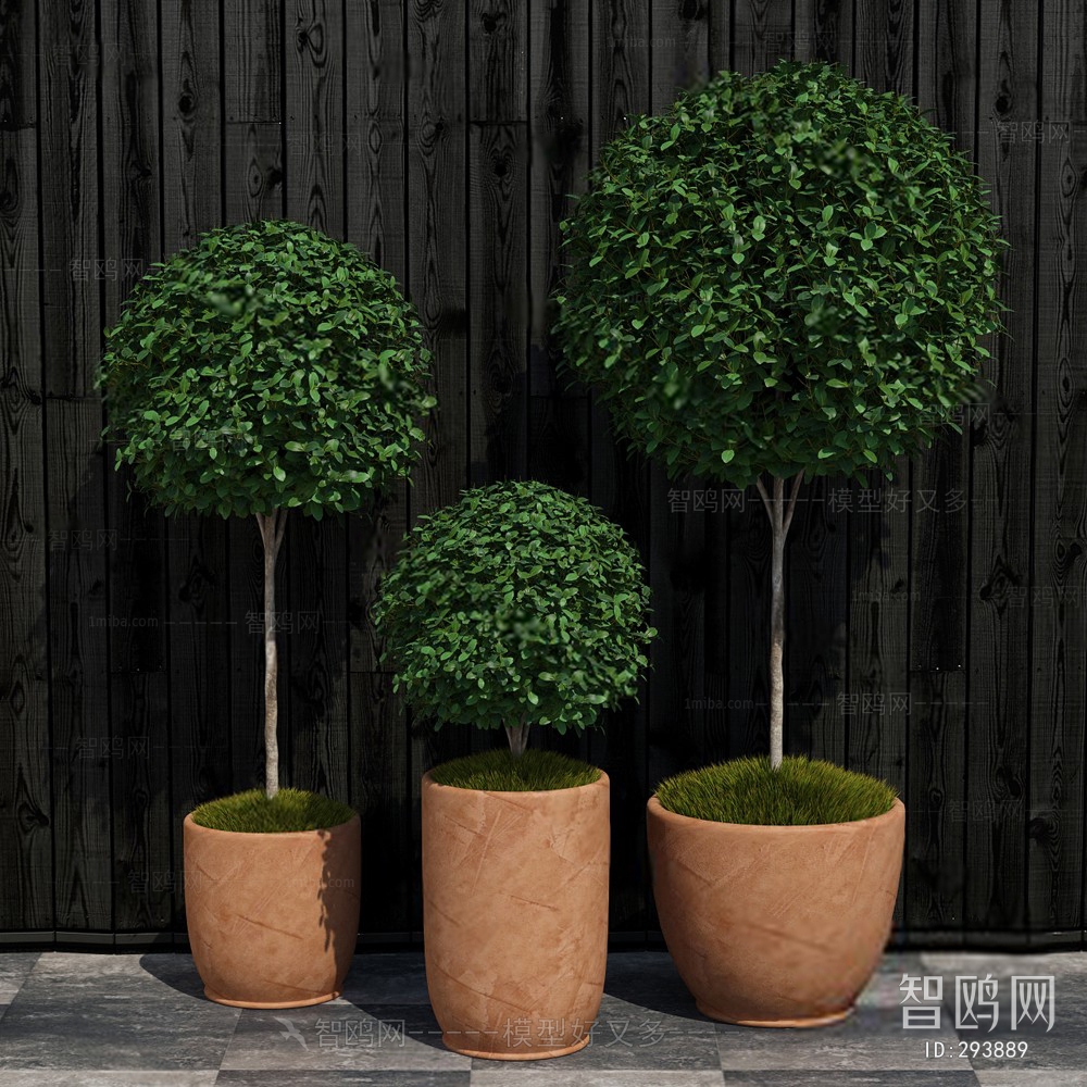 Modern Potted Green Plant