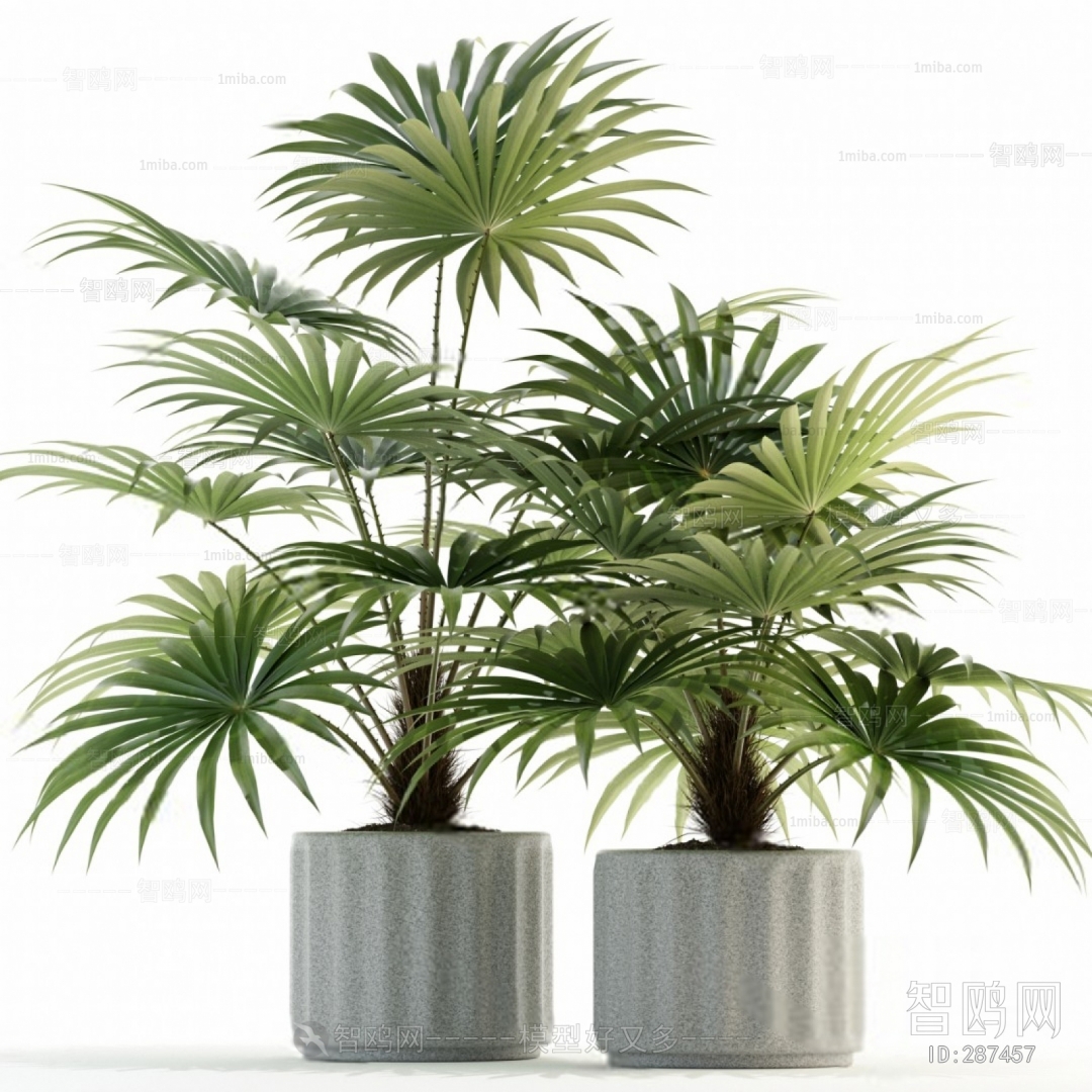 Modern Potted Green Plant