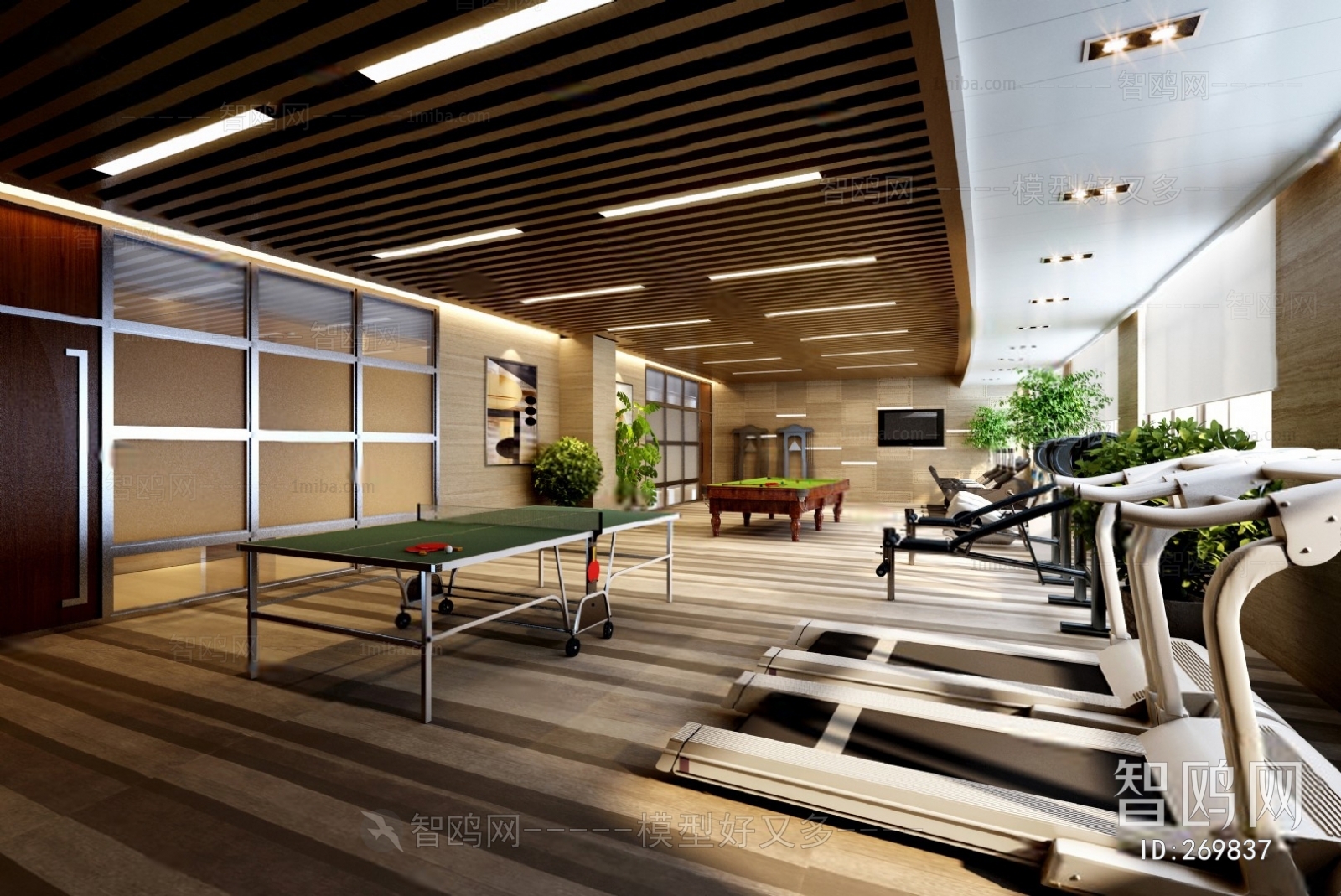 Modern Gym