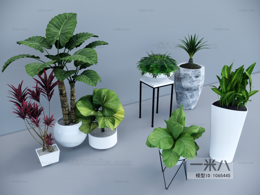 Modern Potted Green Plant