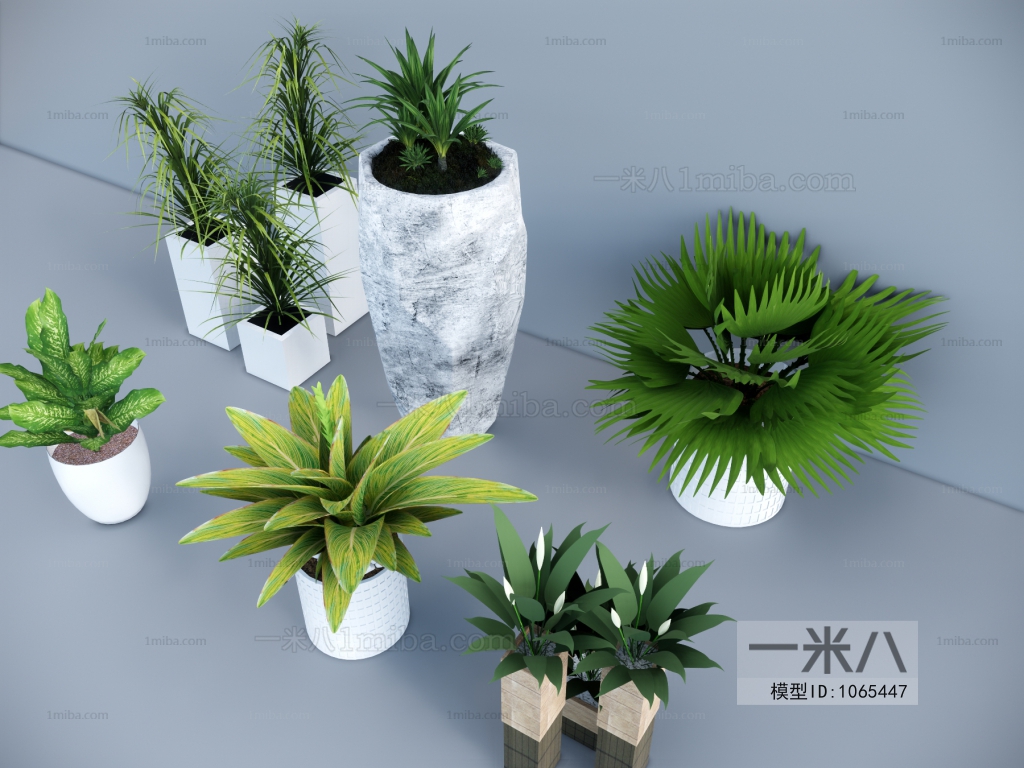 Modern Potted Green Plant