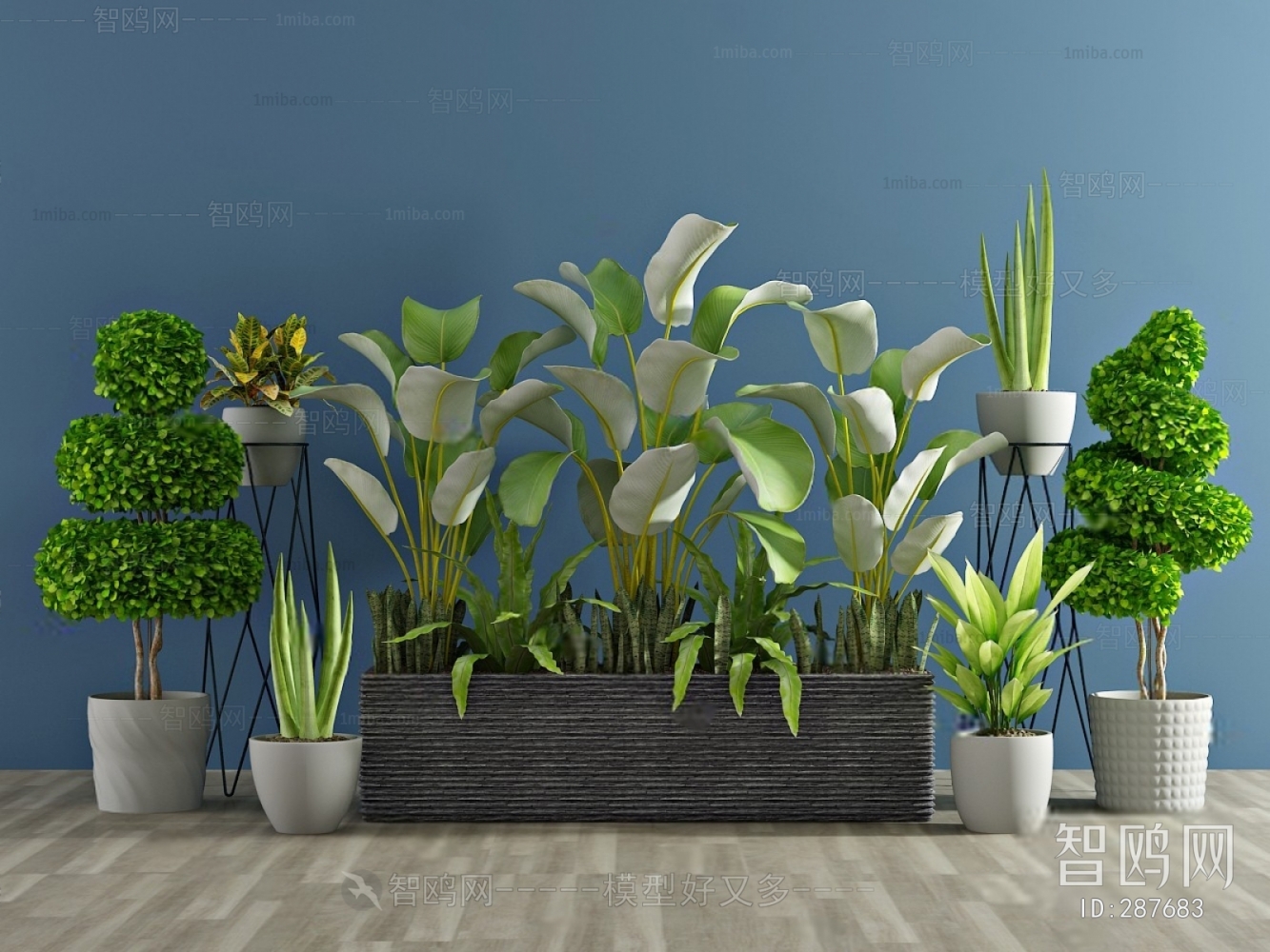 Modern Potted Green Plant