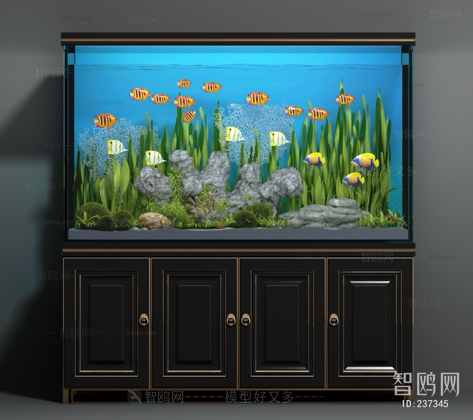 Modern Fish Tank