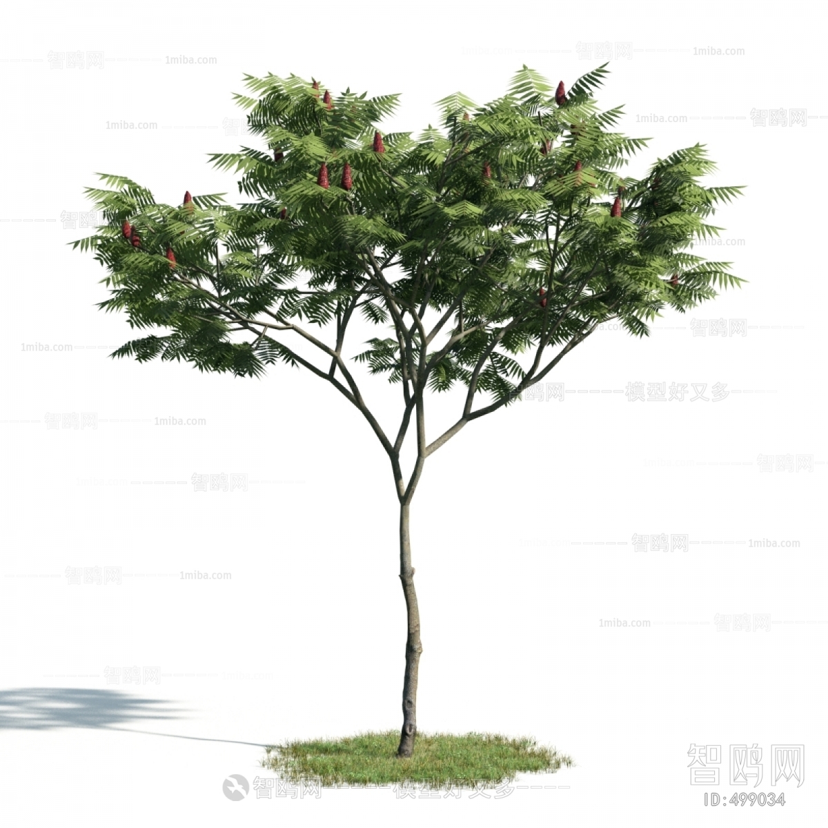 Modern Tree