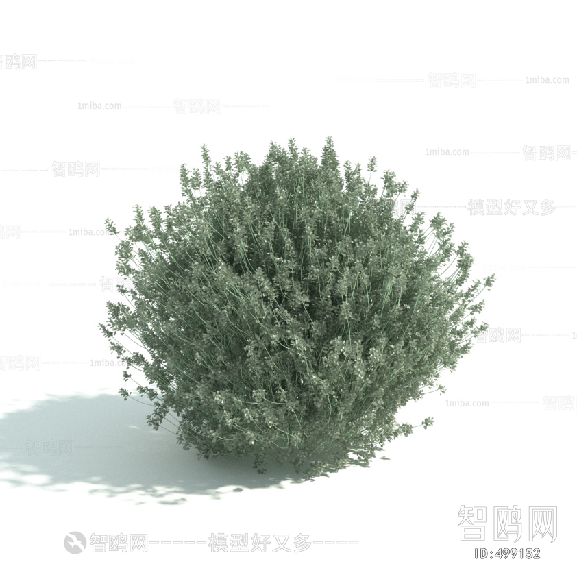 Modern Shrubbery