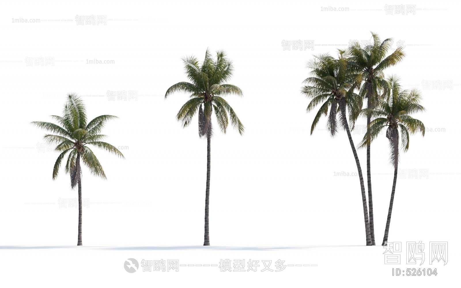 现代椰子树