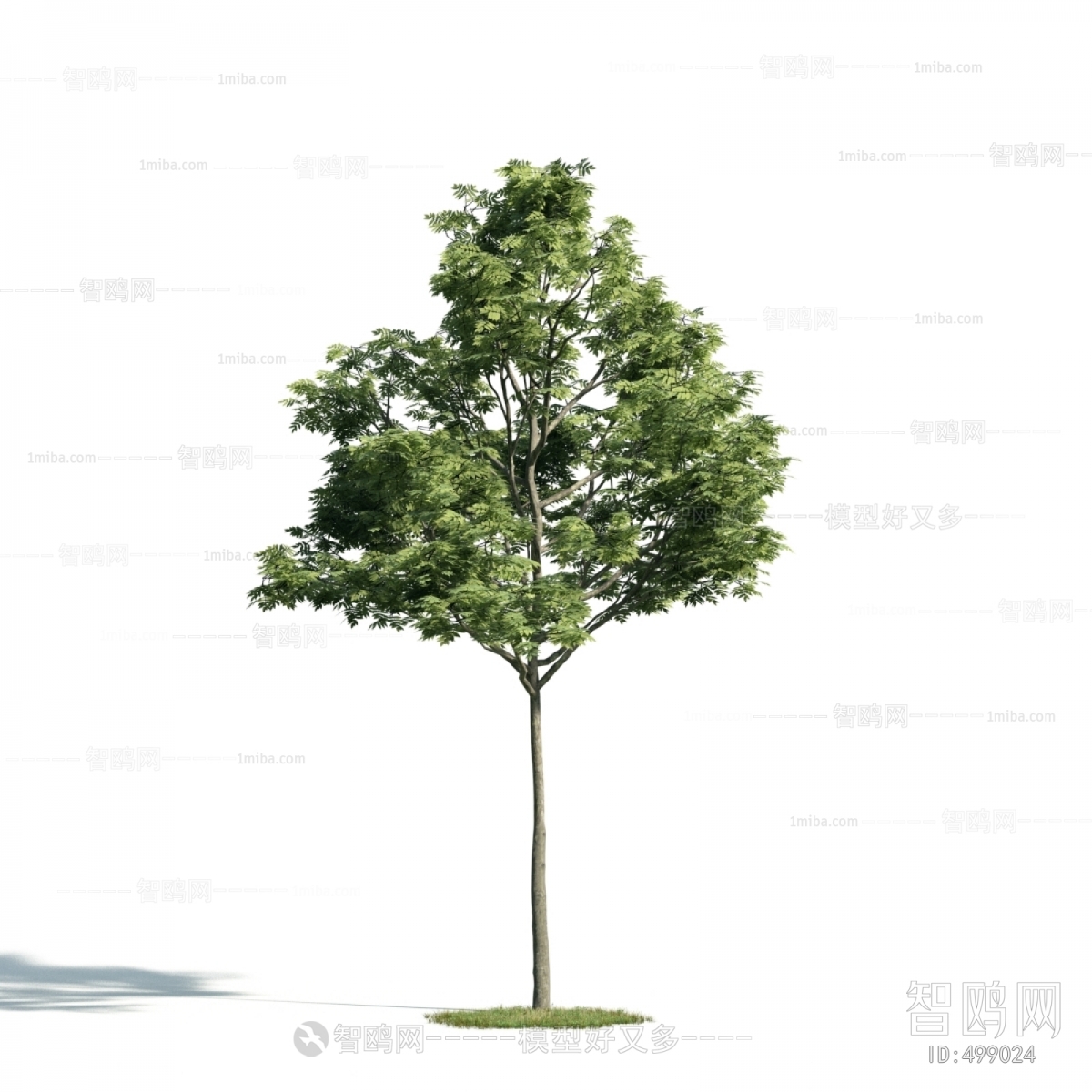 Modern Tree