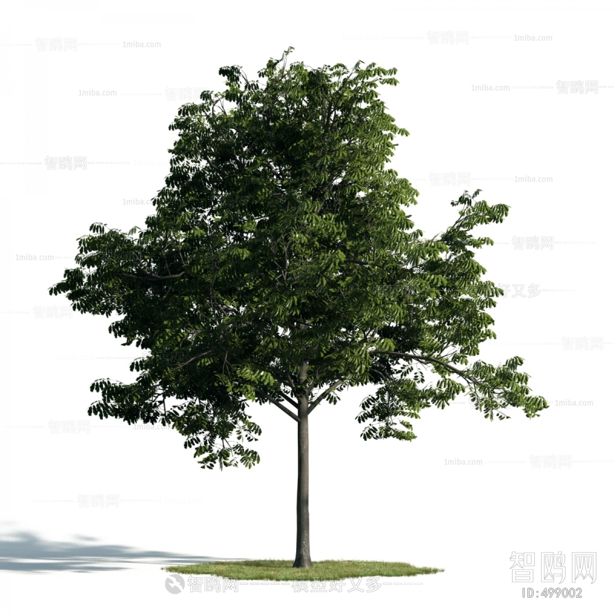 Modern Tree