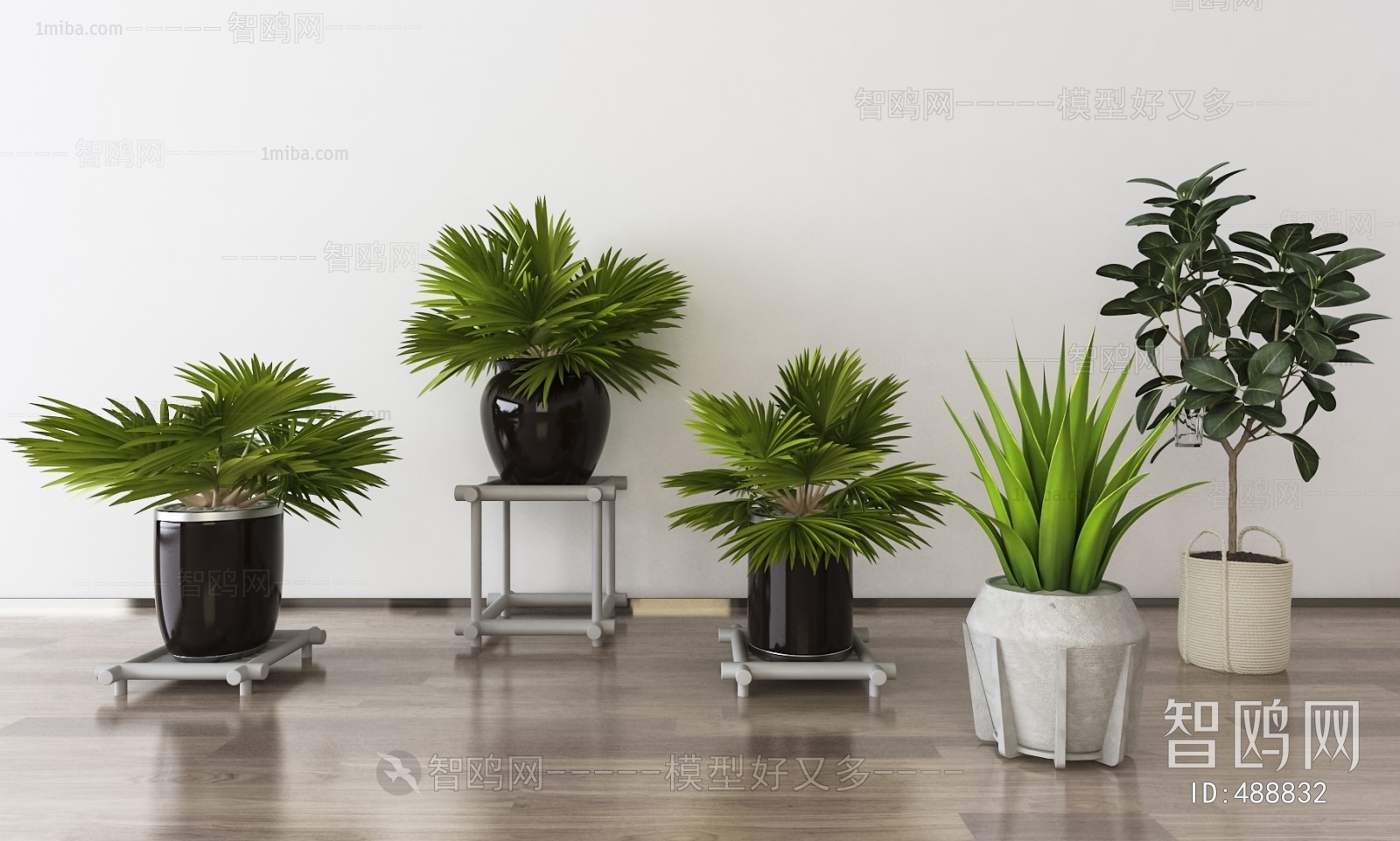 Modern Potted Green Plant