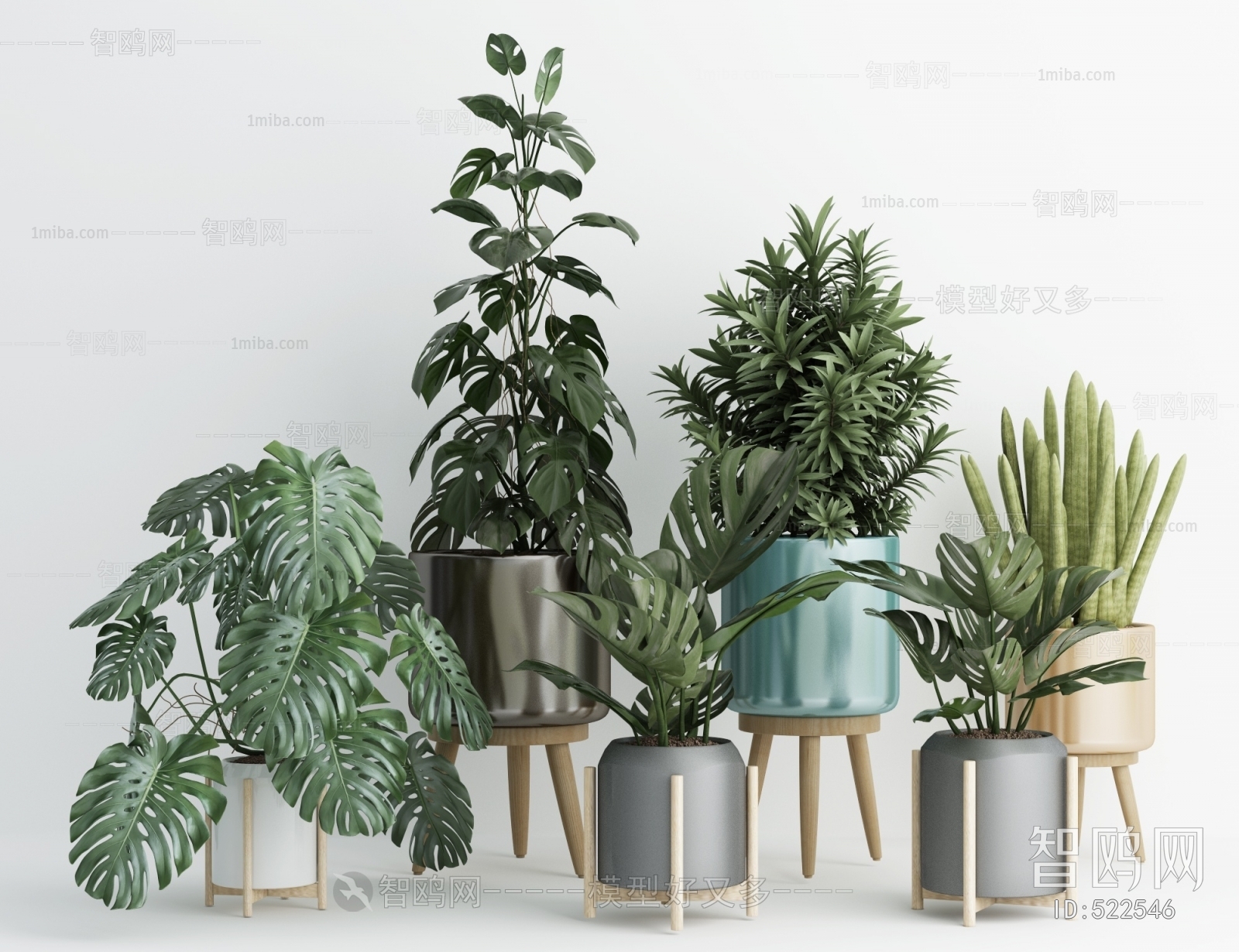 Modern Potted Green Plant