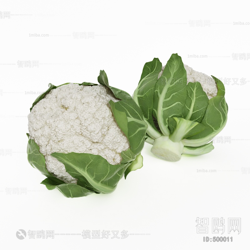 现代疏菜西兰花