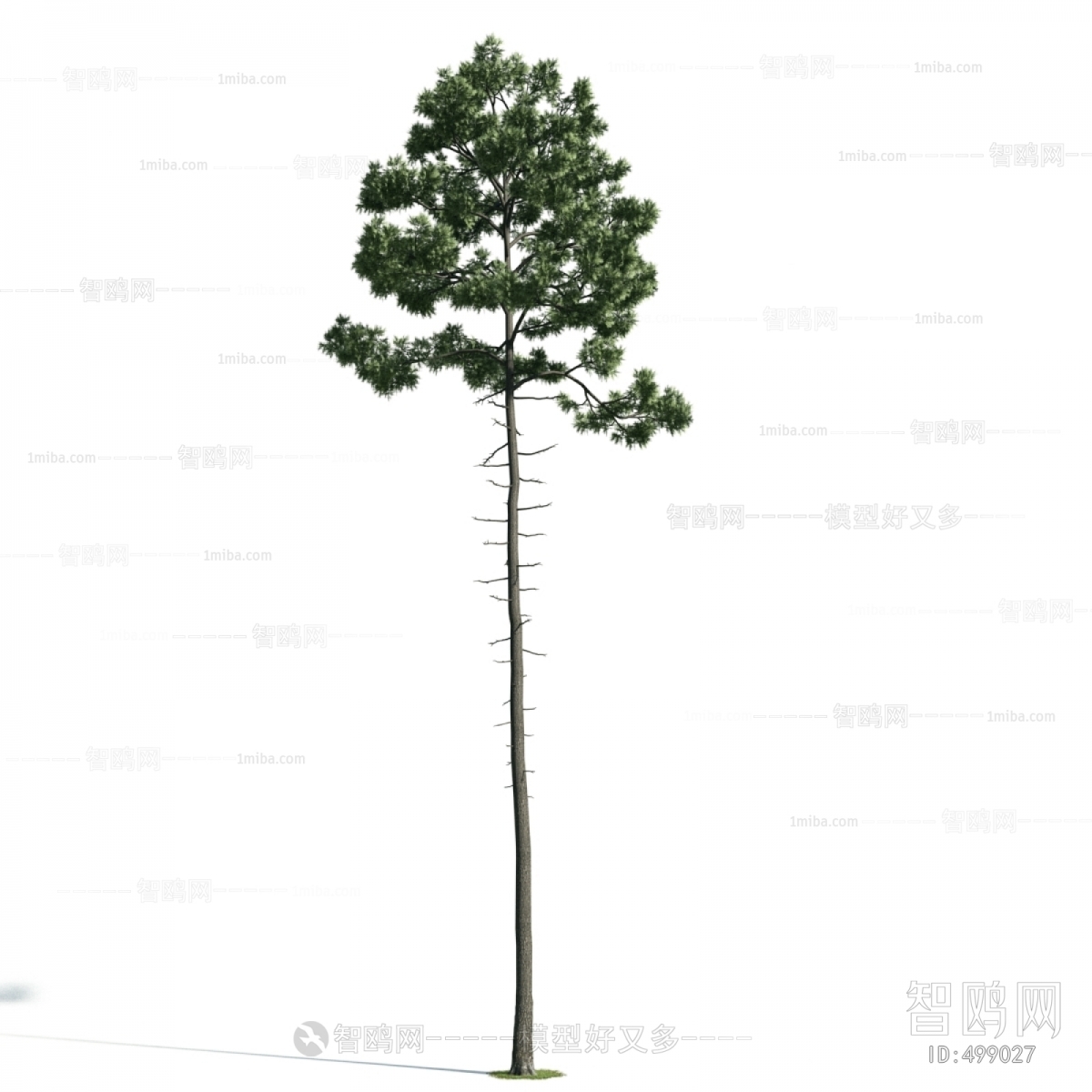 Modern Tree