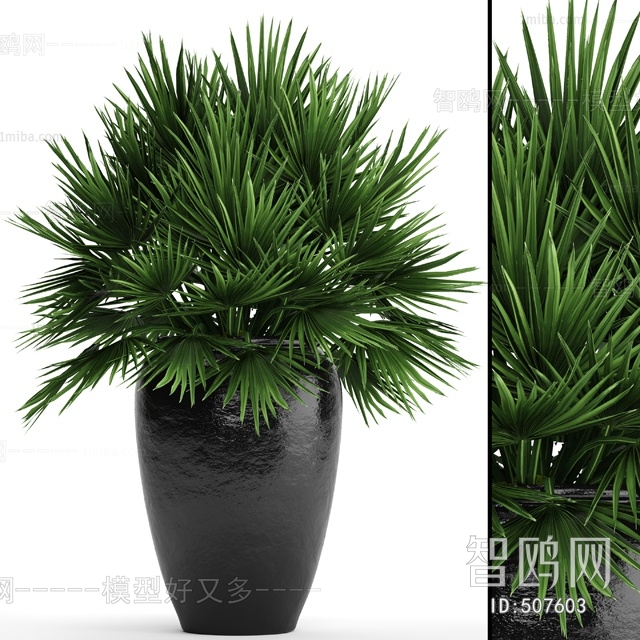 Modern Potted Green Plant