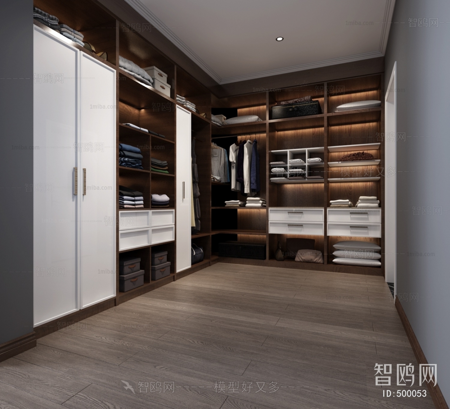 Modern Clothes Storage Area