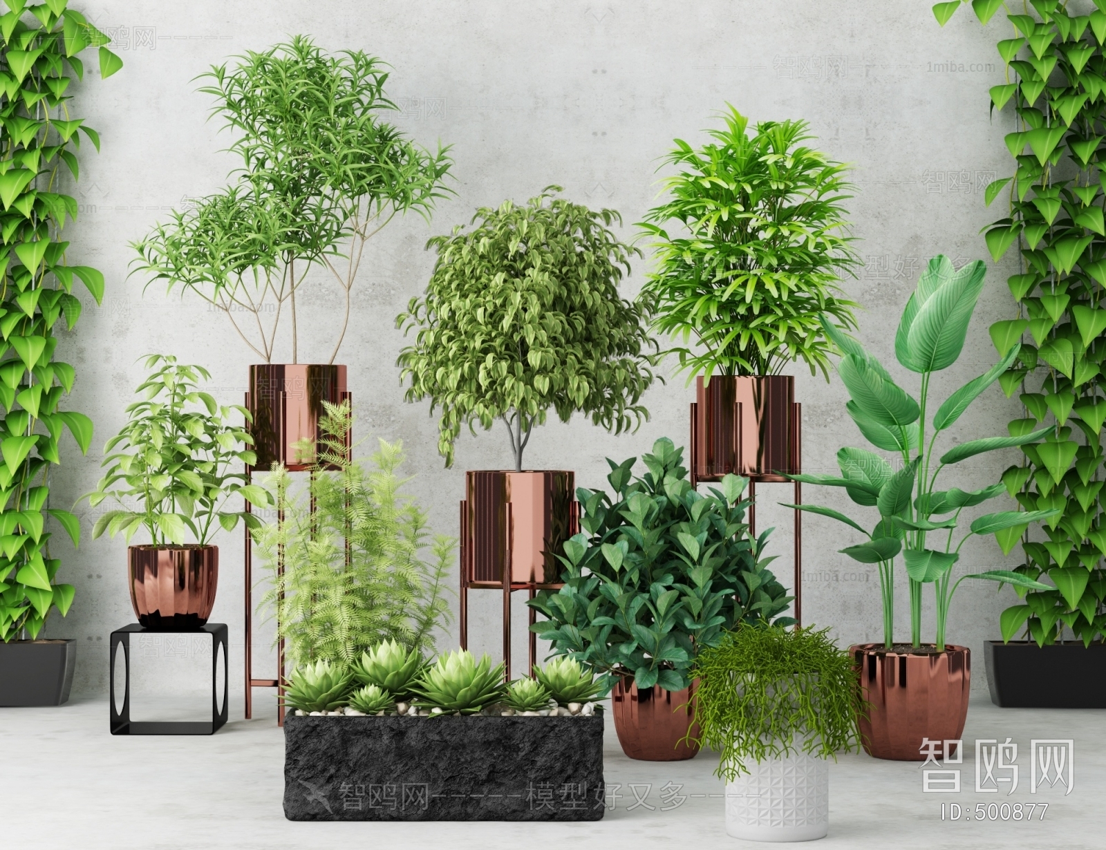 Modern Potted Green Plant