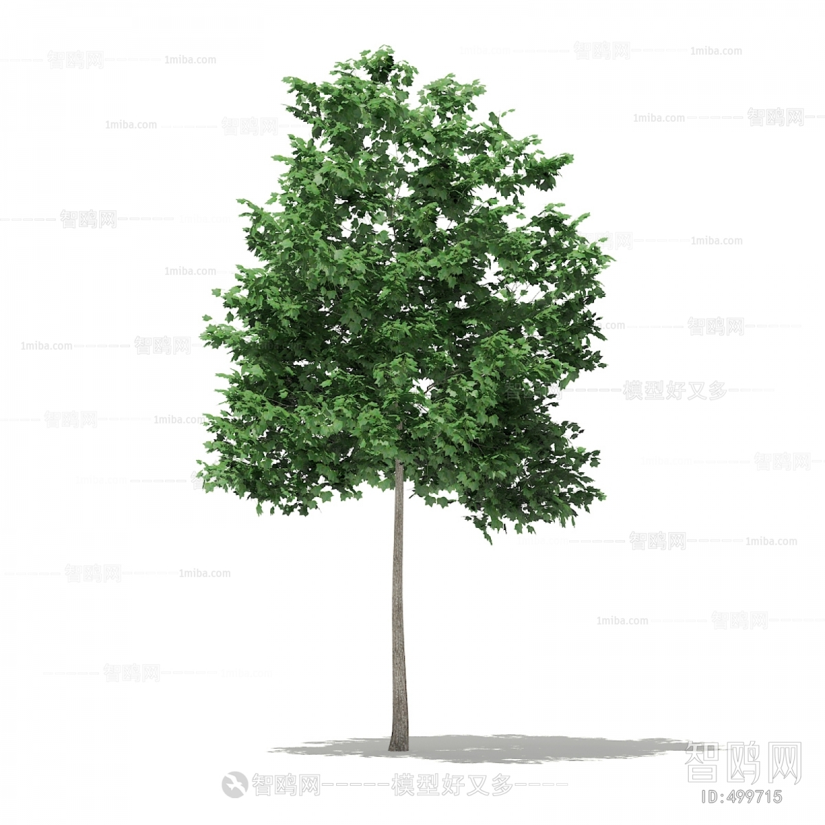 Modern Tree