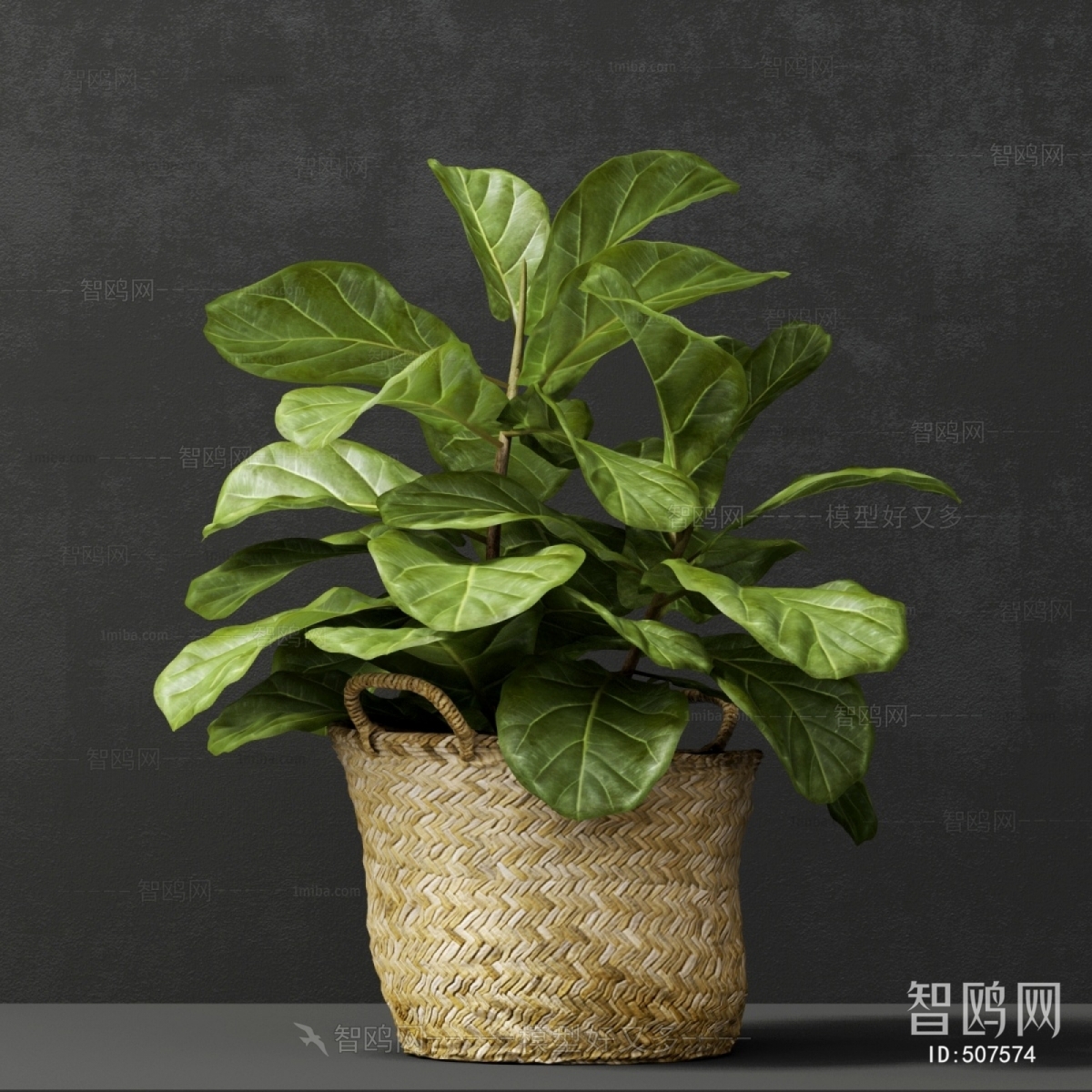 Modern Potted Green Plant