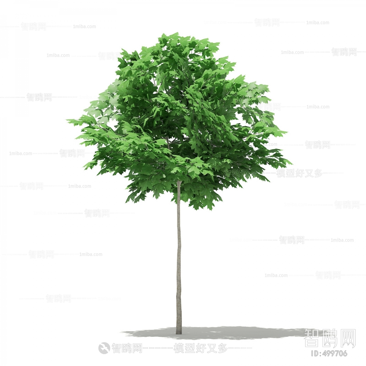 Modern Tree