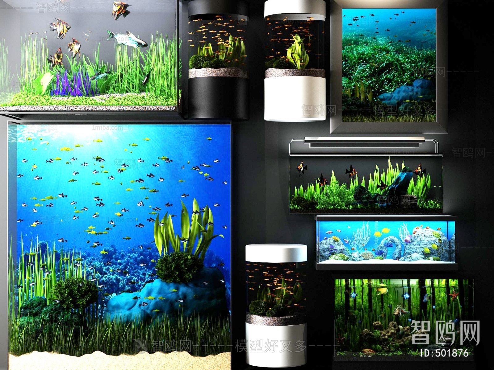 Modern Fish Tank