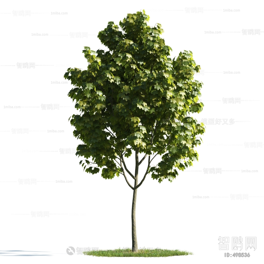 Modern Tree