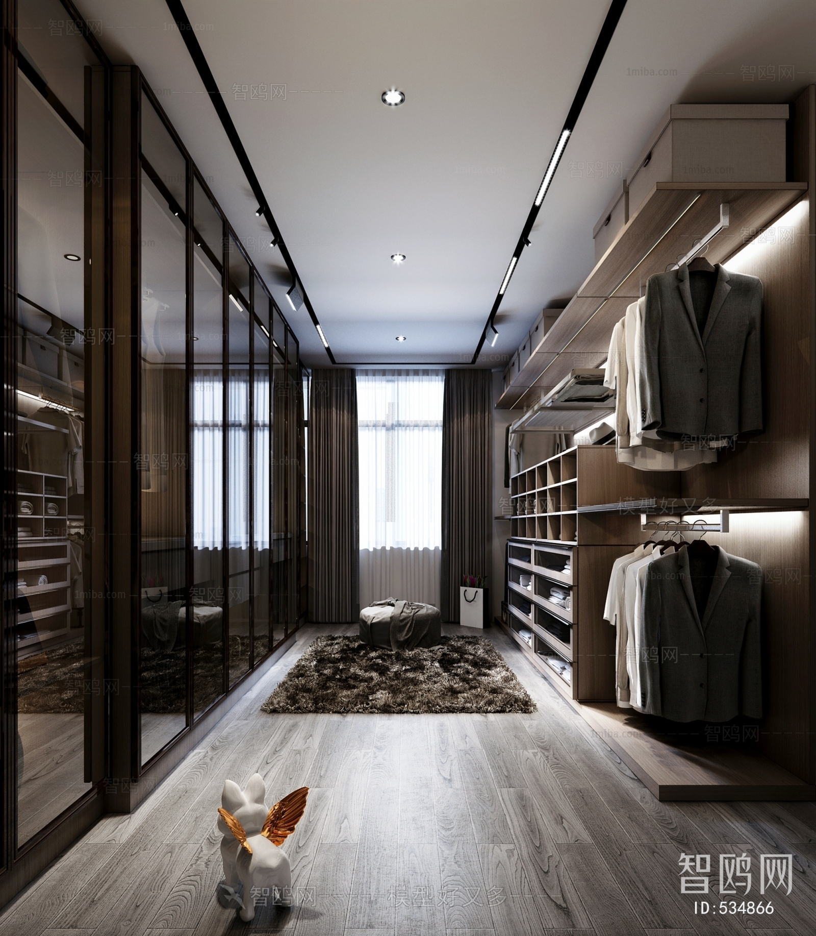 Modern Clothes Storage Area