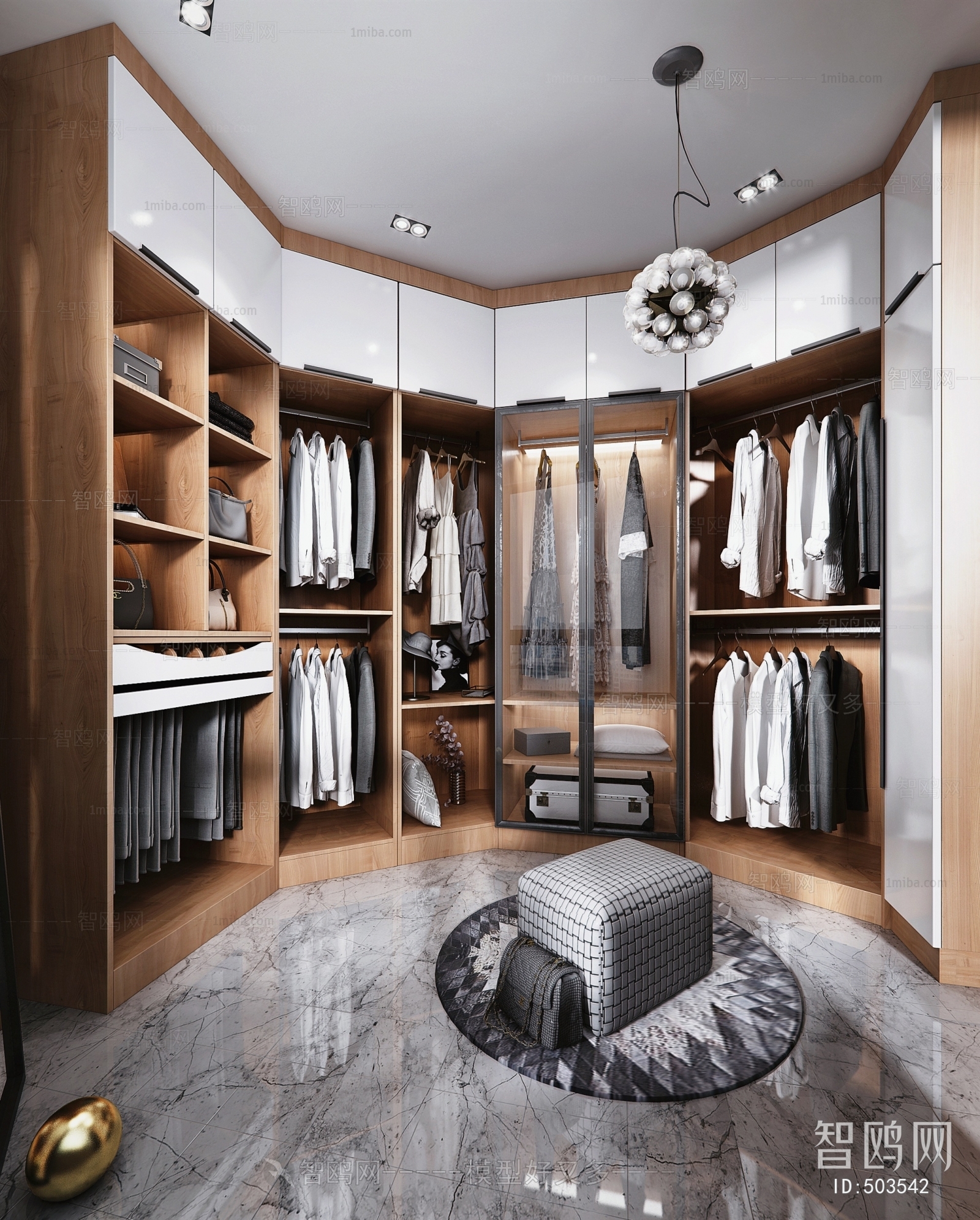 Modern Clothes Storage Area