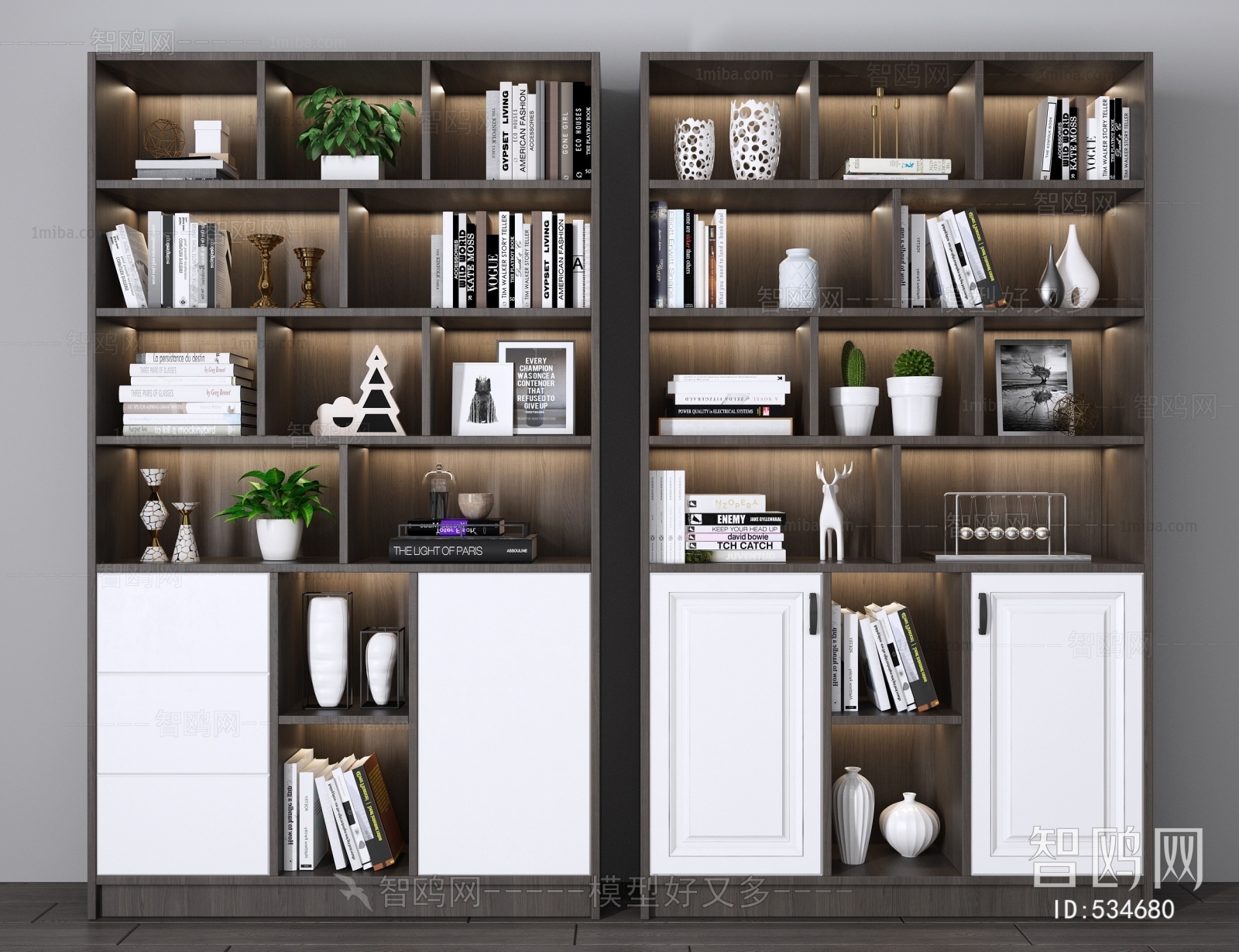 Modern Bookcase