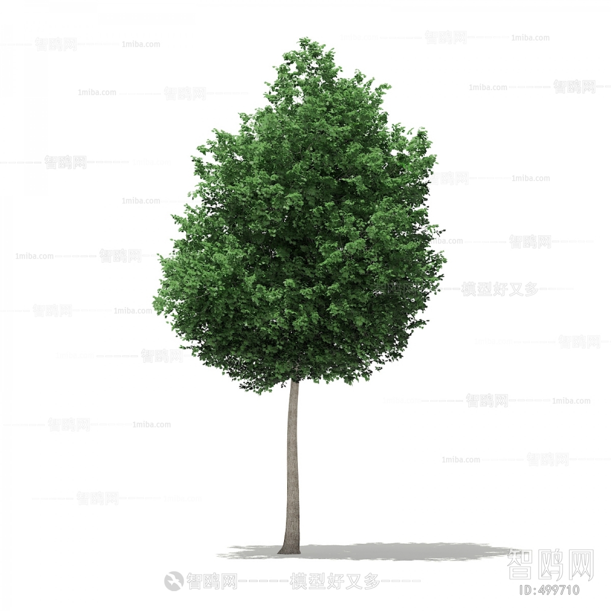 Modern Tree