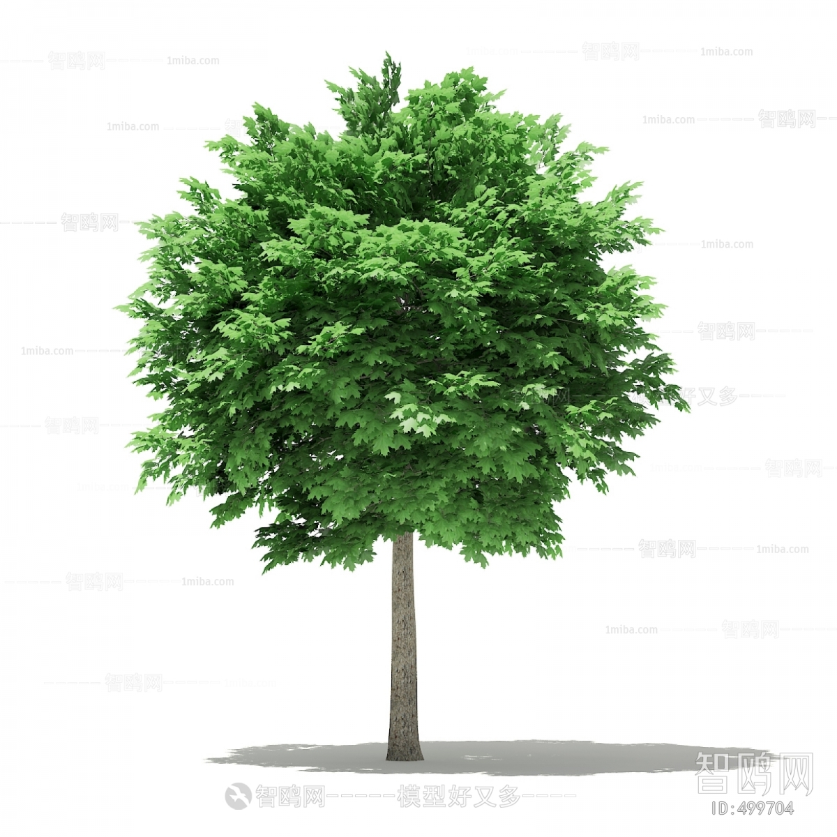 Modern Tree