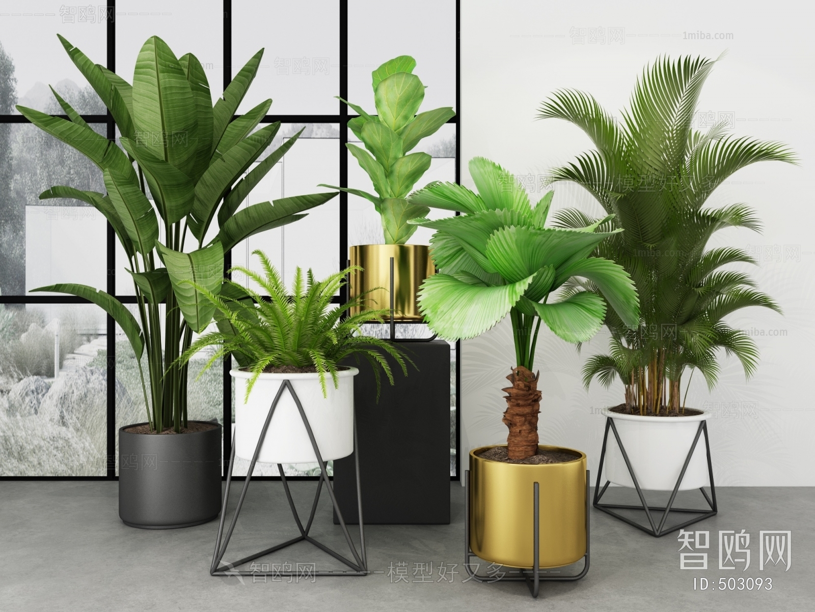 Modern Potted Green Plant