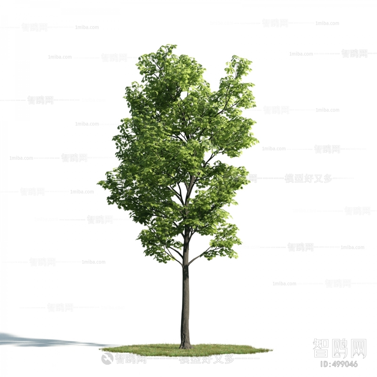 Modern Tree