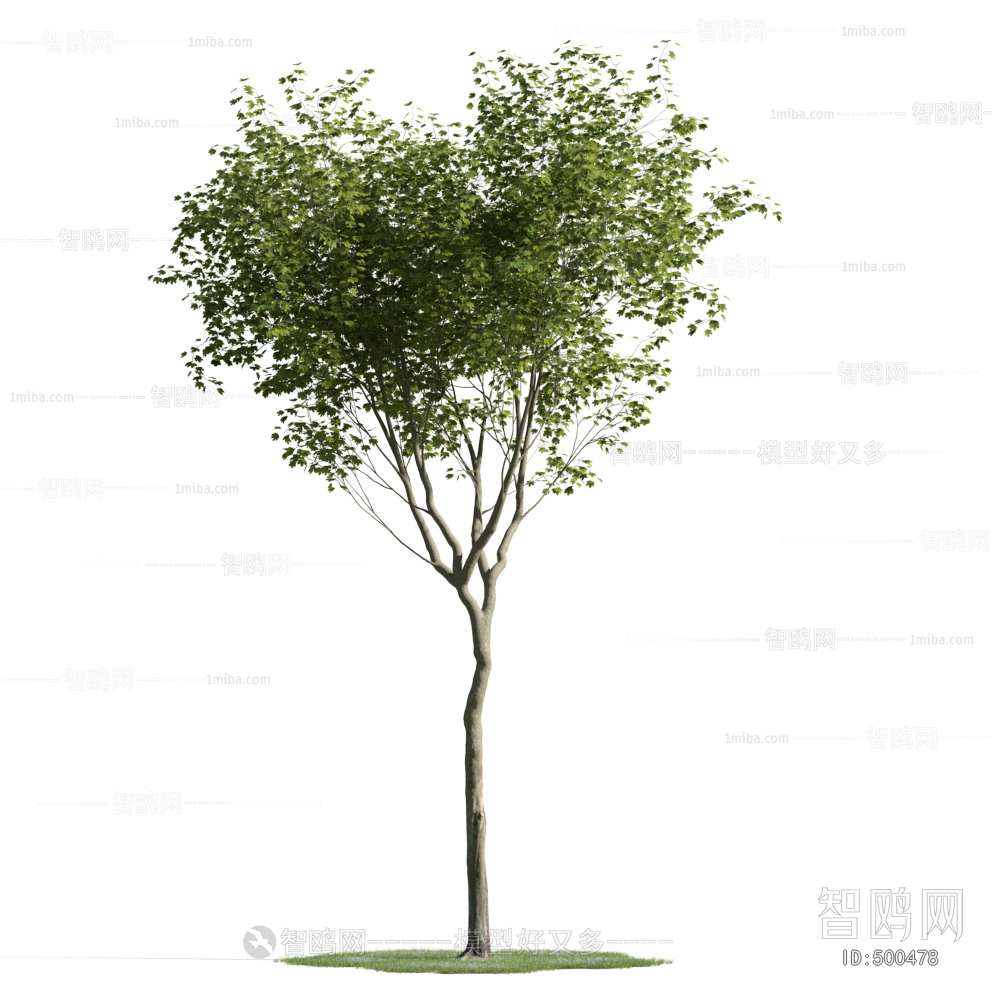 Modern Tree