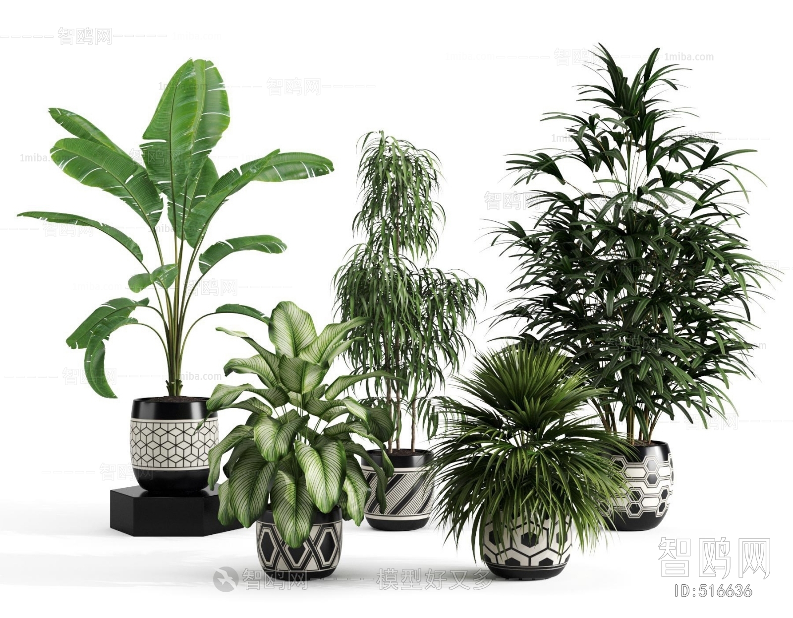 Modern Potted Green Plant