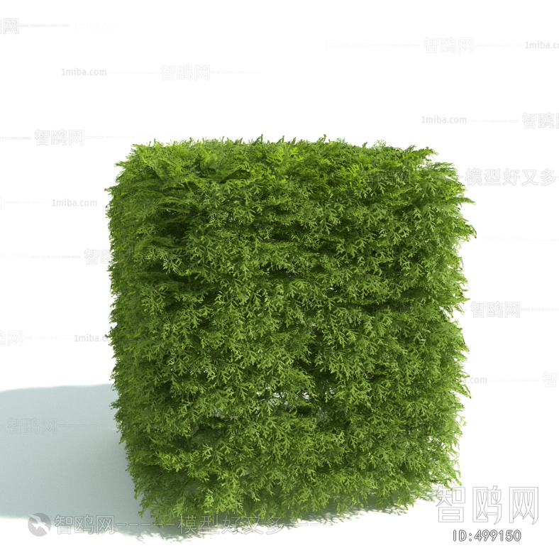 Modern Shrubbery