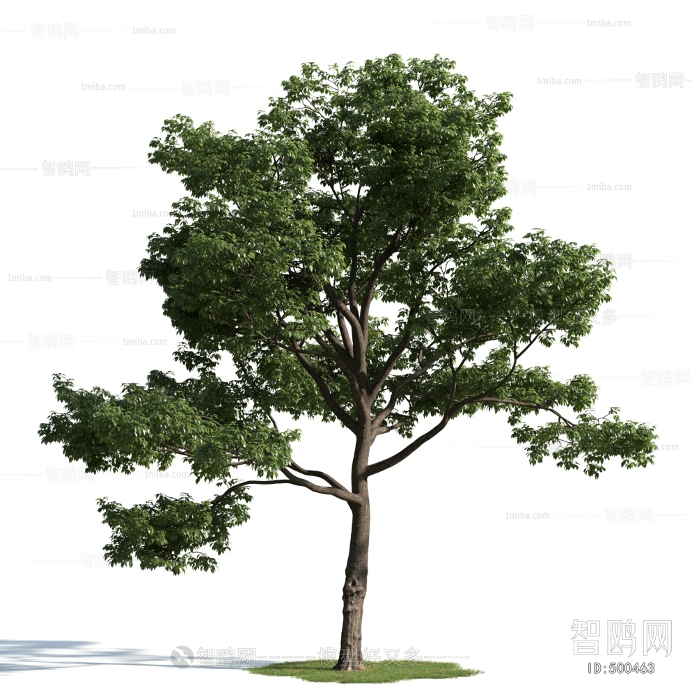 Modern Tree