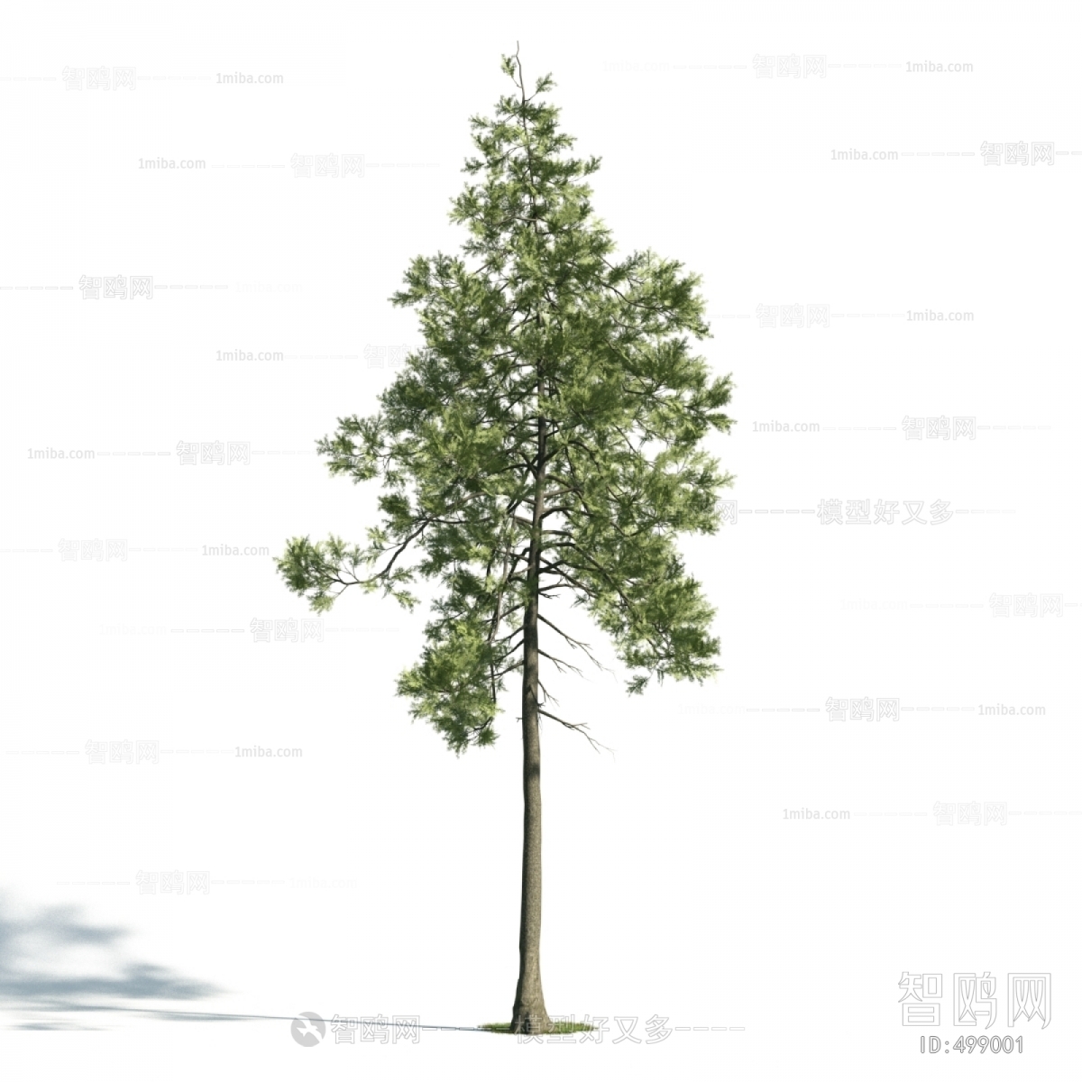 Modern Tree