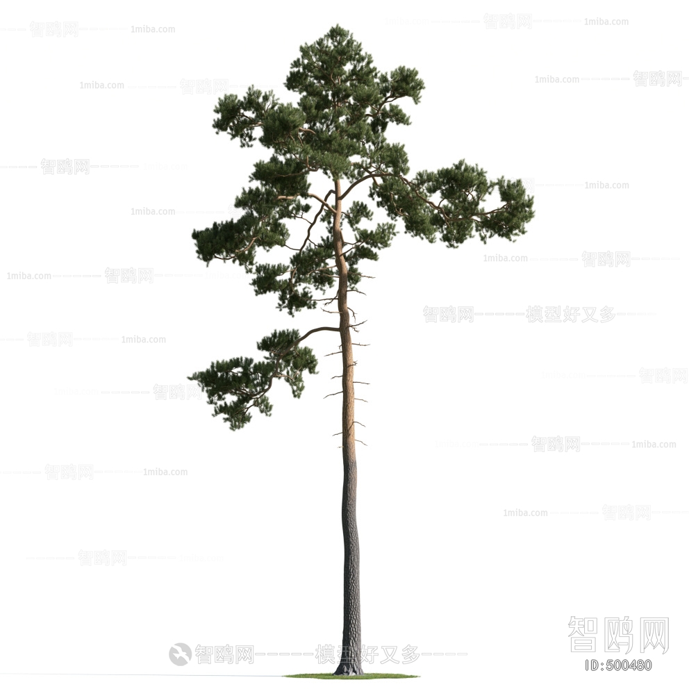 Modern Tree