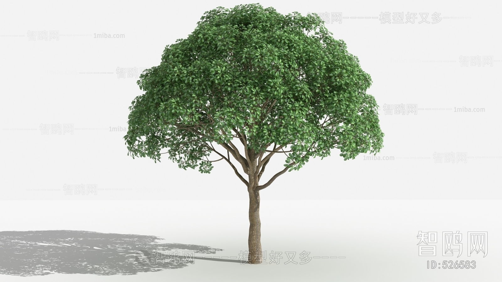 Modern Tree