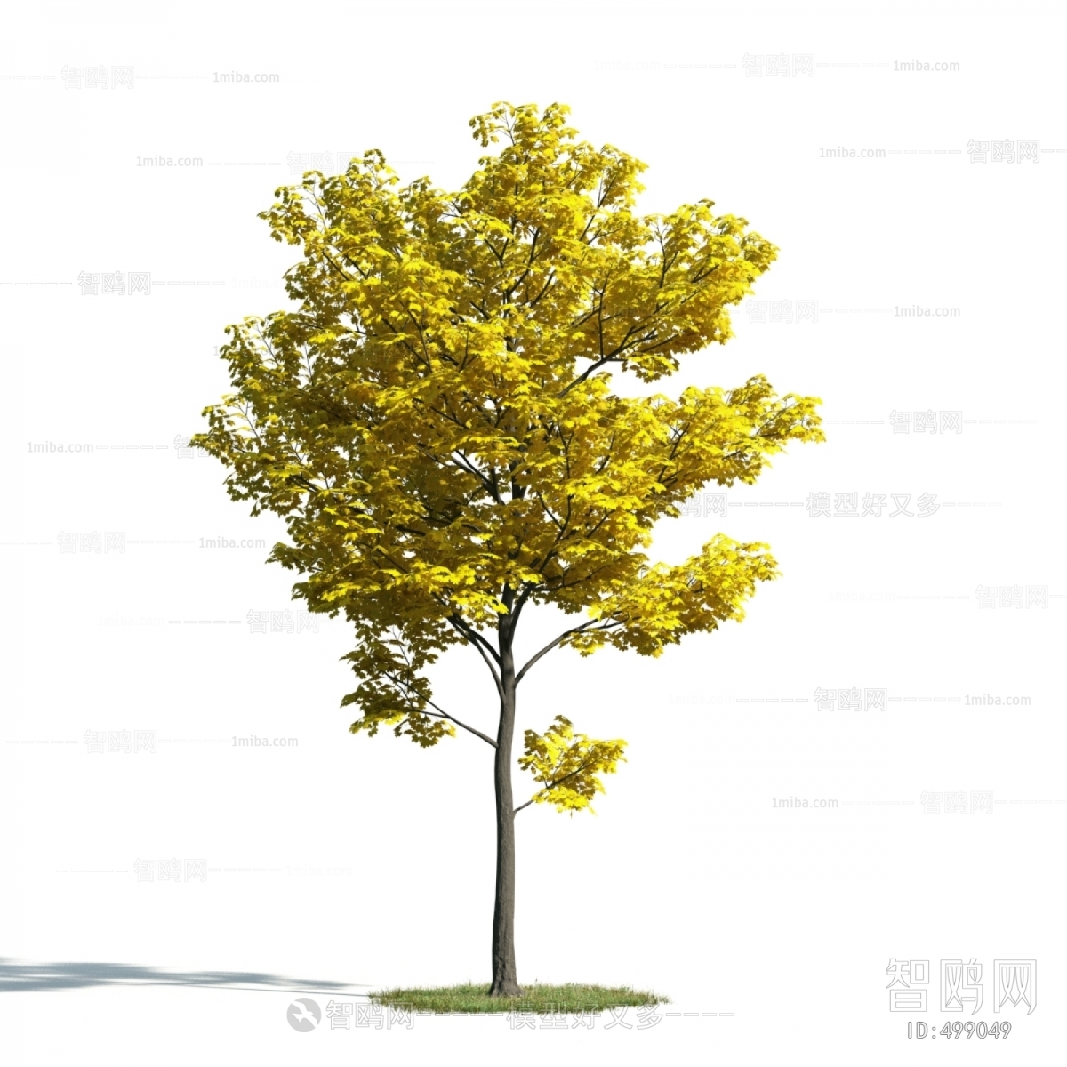 Modern Tree