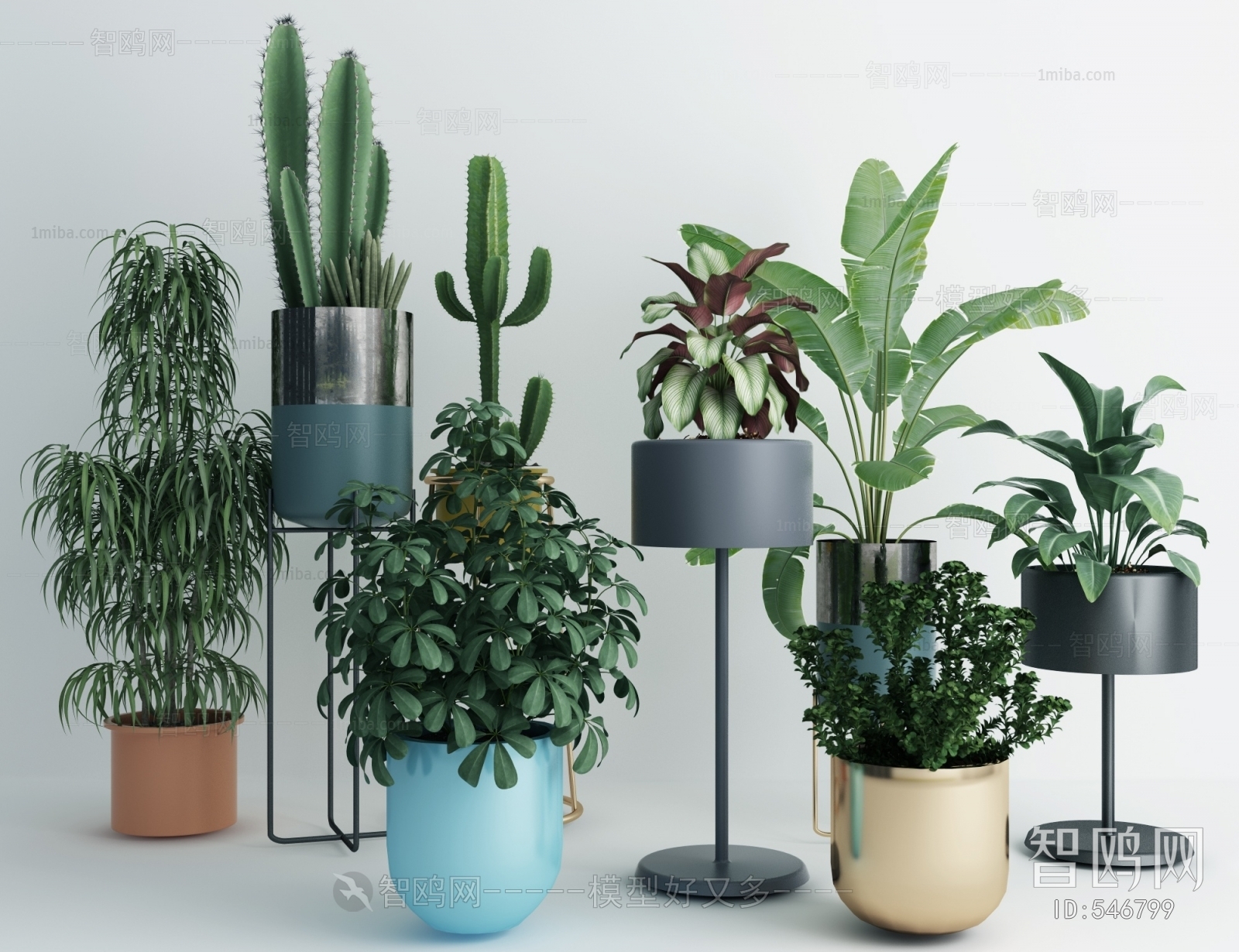 Modern Potted Green Plant