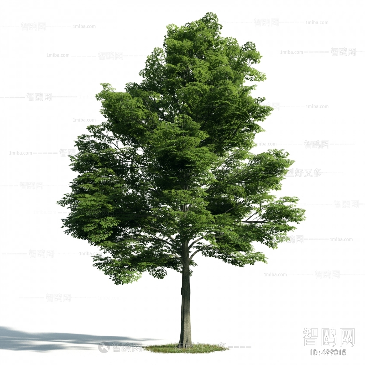 Modern Tree