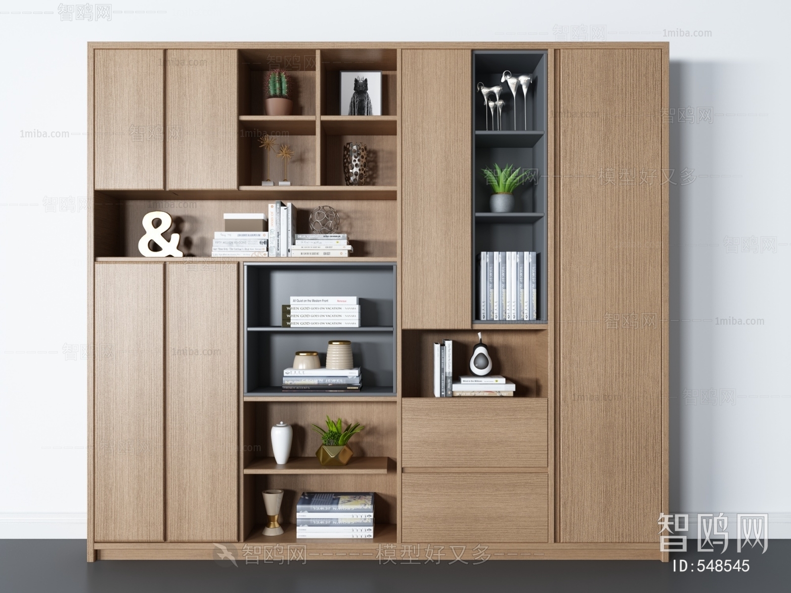 Modern Bookcase