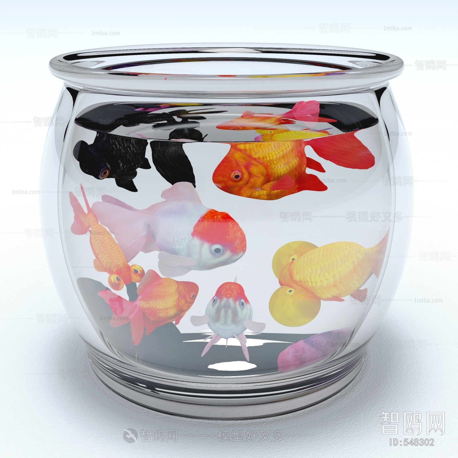 Modern Fish Tank