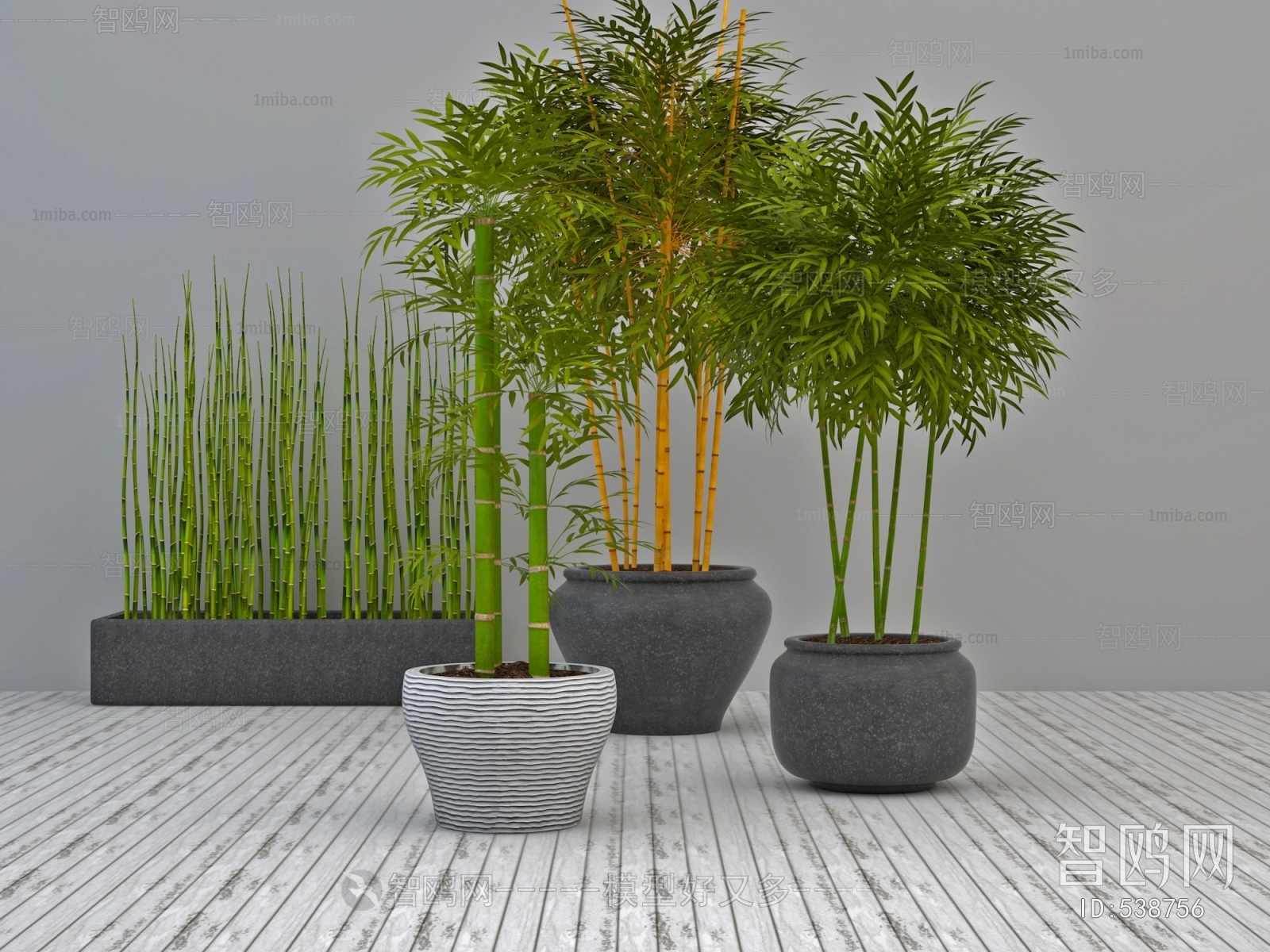 Modern Potted Green Plant