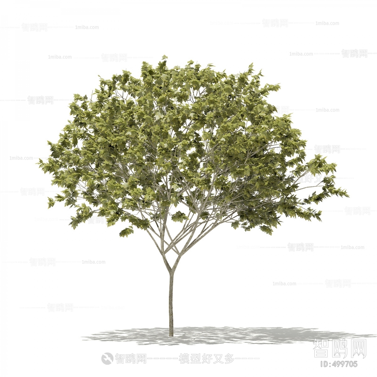 Modern Tree