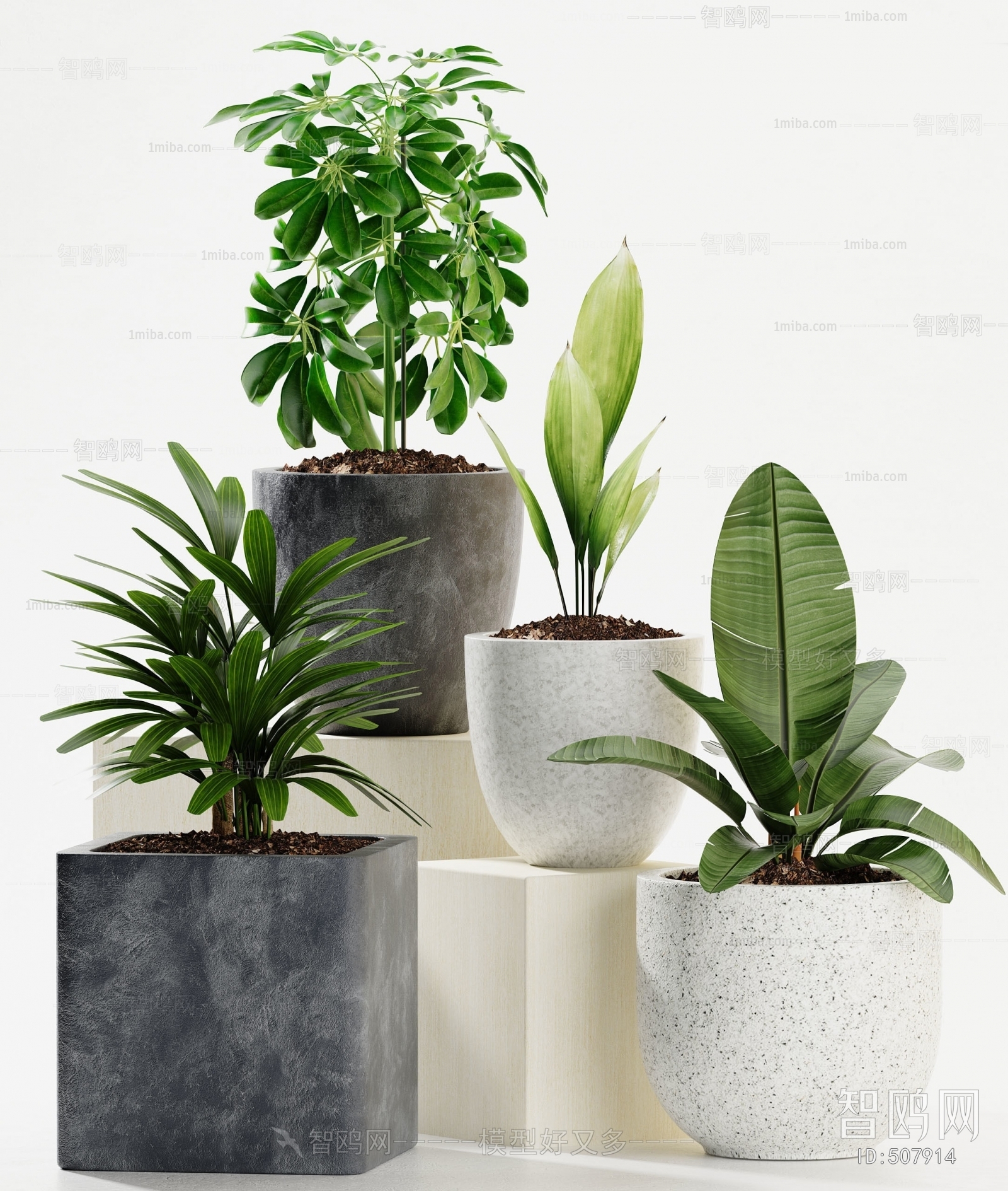 Modern Potted Green Plant