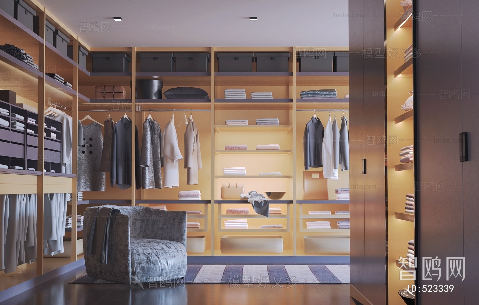 Modern Clothes Storage Area